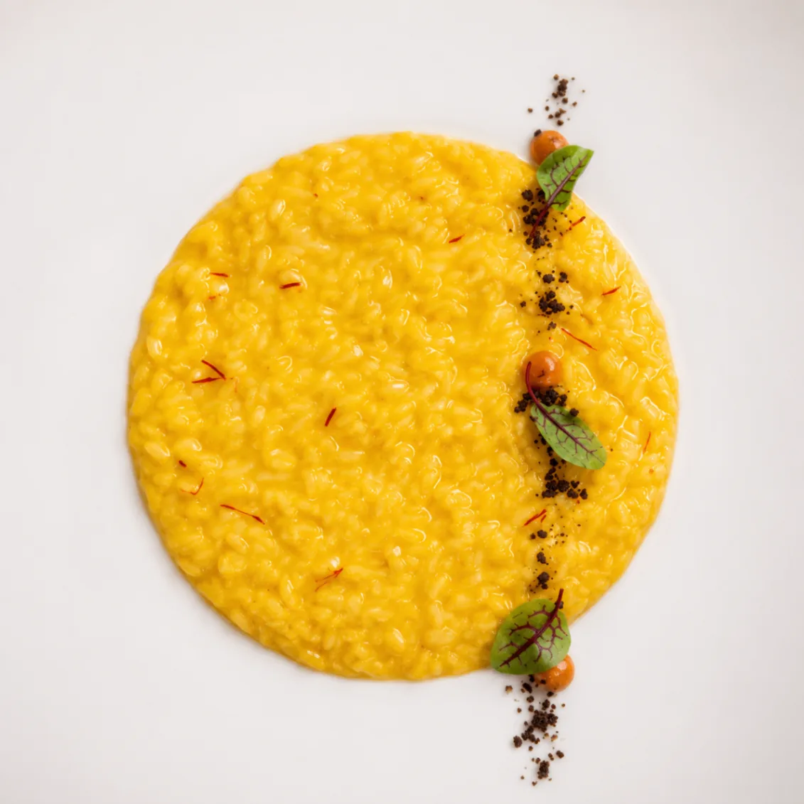 Milanese saffron risotto with liquorice powder and micro chard