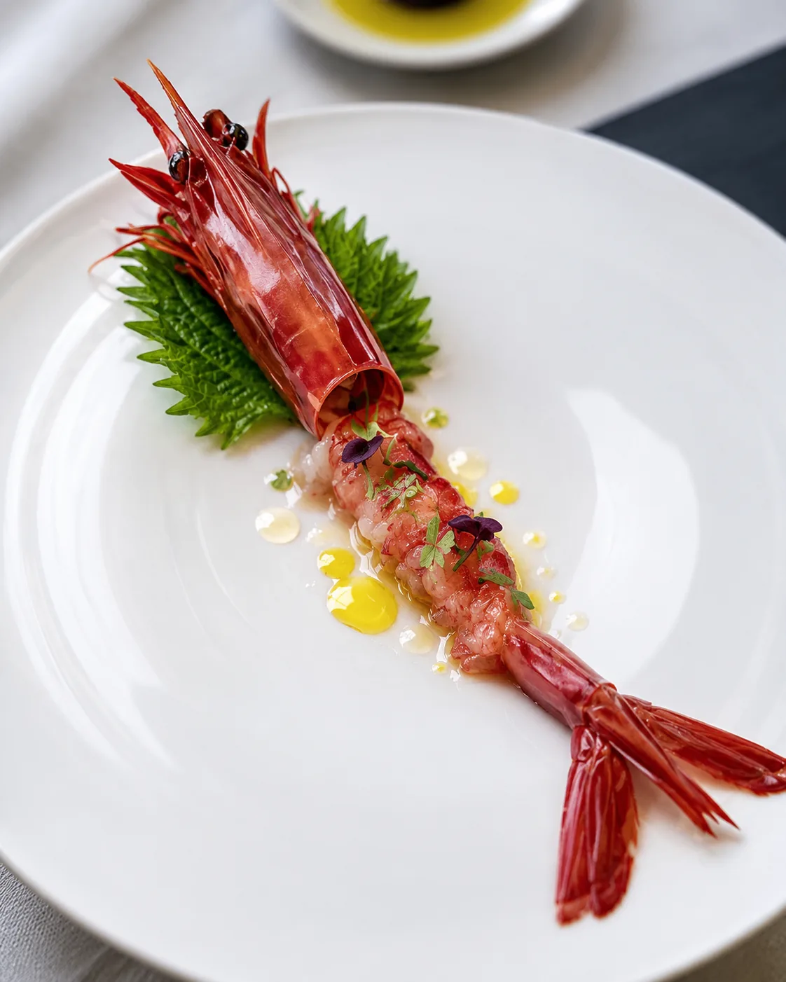 Scarlet prawn crudo with citrus pearls and shiso leaf